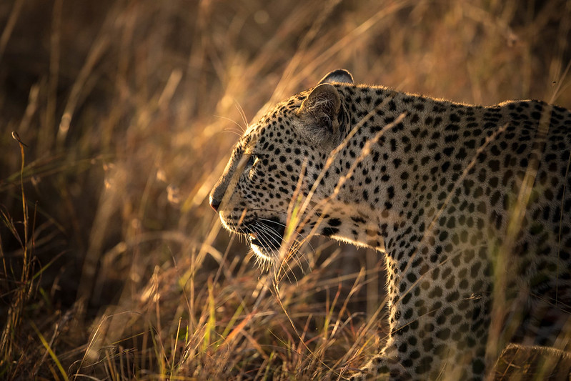 Serengeti National Park